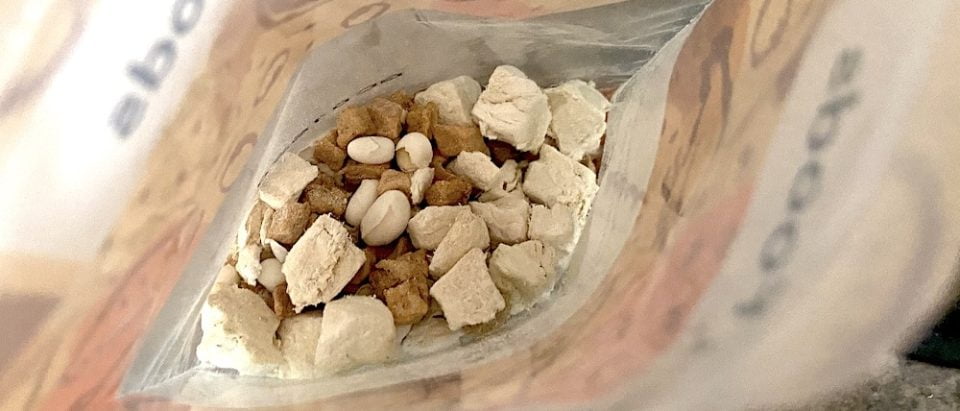 Freeze-Dried Dog Food Recipes: A Pawsitively Nutritious Adventure