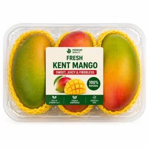Buy Premium Kent Mango in Ghana – Sweet, Juicy & Fiberless Fresh Mango
