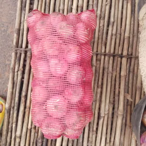 Fresh Farm Onions – 5kg Retail Bag