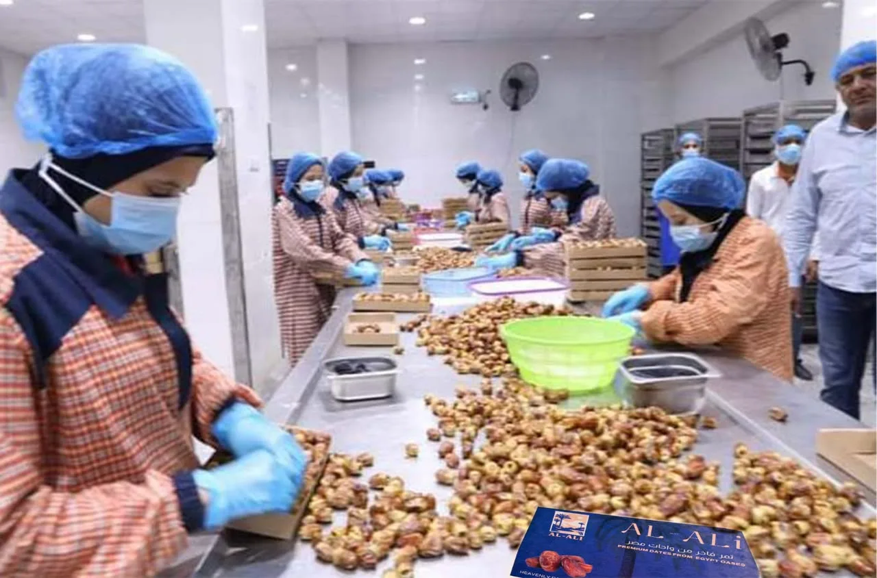 Buy Al-Ali Premium Dates 5kg in Ghana - Image 7